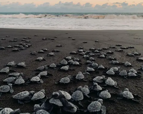 DESCUBRE GUATEMALA