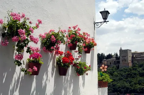 ANDALUCÍA Y LEVANTE