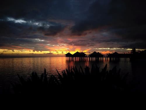 Coconuts Beach Club Resort & Spa, 