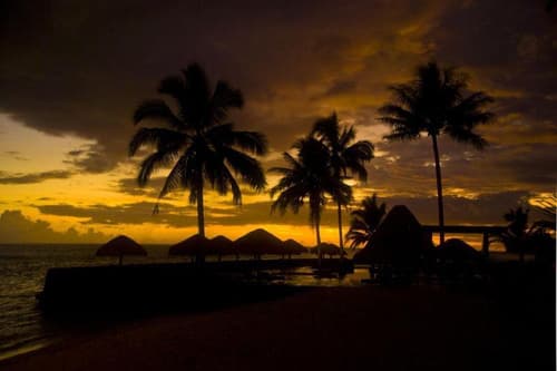 Coconuts Beach Club Resort & Spa, 