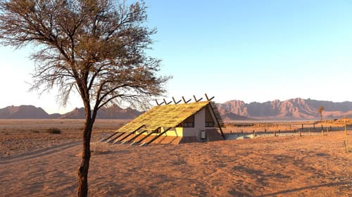 Desert Quiver Camp, 