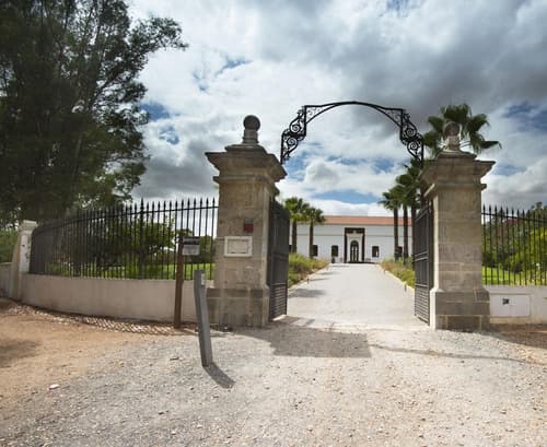 Alentejo Star Hotel, 