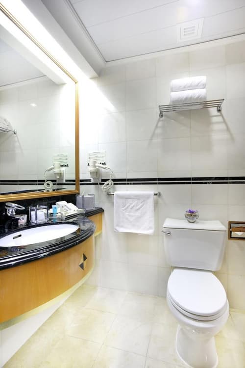 Metropark Hotel Causeway Bay Hong Kong, 