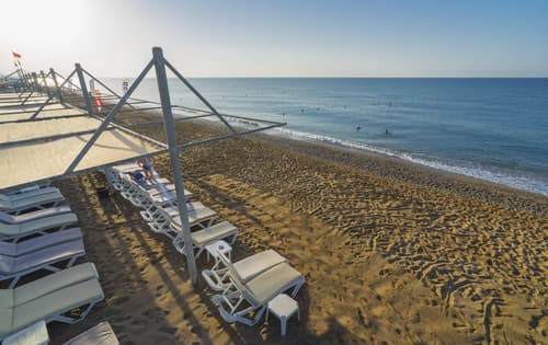 Asteria Collection Side, 