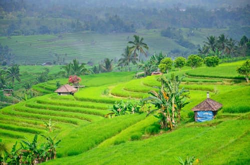 Bali & Gili Highlight, Private Tour