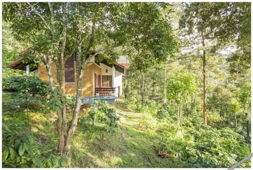 Vythiri Mist Resort, 