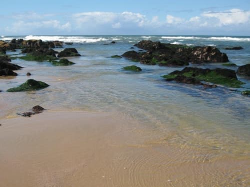 The Lookout Guest House, 