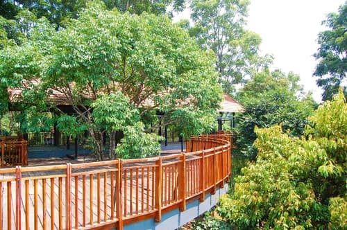 Vythiri Mist Resort, 