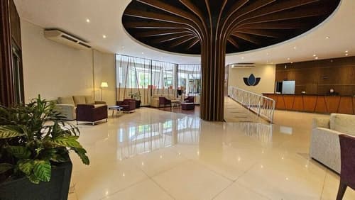 Bagu Ñamandu Guazú, 