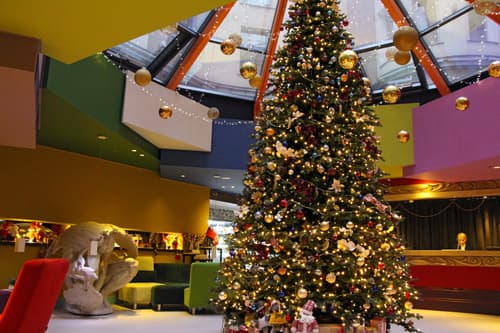 Domina Hotel St. Petersburg, 