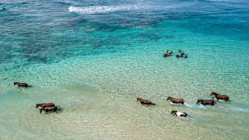 Viaggio in Indonesia. Lo spirito guerriero 