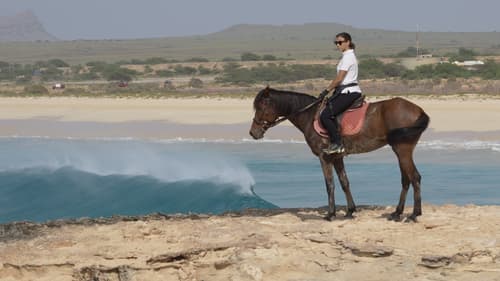 Boa vista: the wild island of boa vista