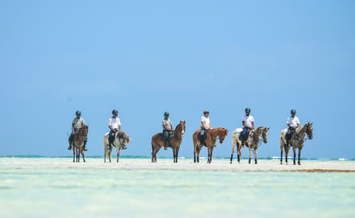 Zanzibar: isola delle spezie
