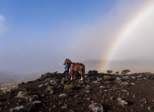 Reuniòn: l'isola intensa
