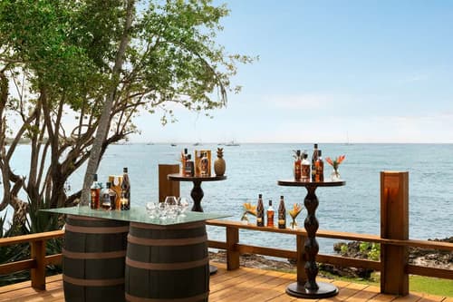 Dreams La Romana Resort & Spa, BAR