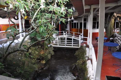 Selina Boquete, GENERAL