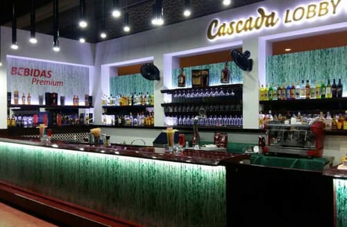 Hotel Playa Caleta, BAR