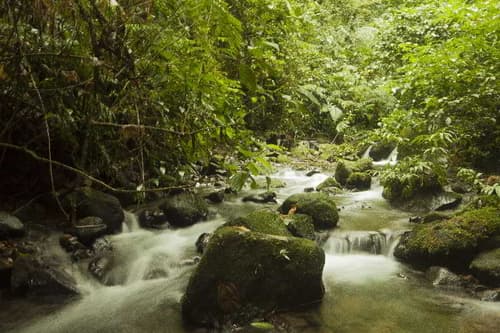 GreenLagoon Wellbeing Resort, HOTEL