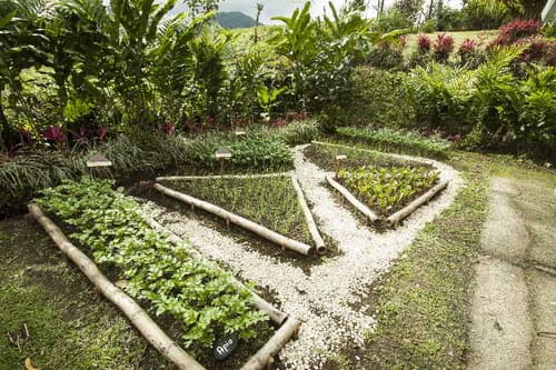 GreenLagoon Wellbeing Resort, HOTEL