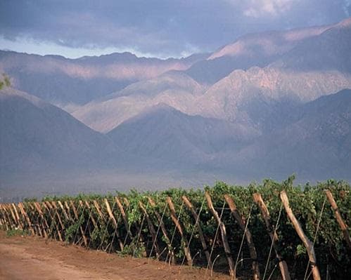 Ruta del Vino Riojano