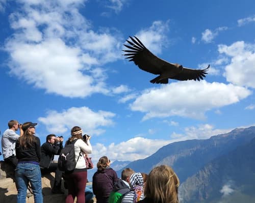 Amazonian Peru 15 Days / 14 Nights