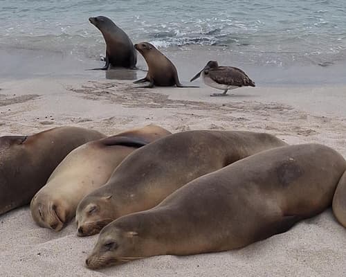 Full Galapagos Island / 9 days