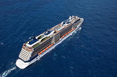 Celebrity Reflection