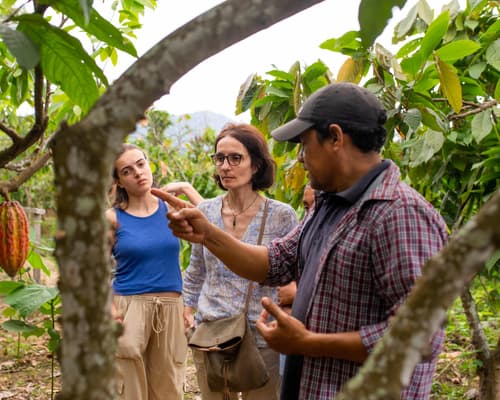Ruta del Cacao