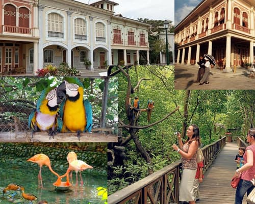City Tour Guayaquil + Parque Histórico