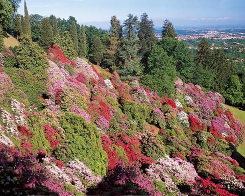  Stresa Biella e Torino