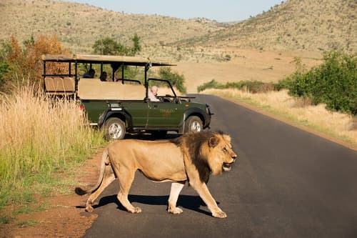 Cape Town & Safari with Johannesburg