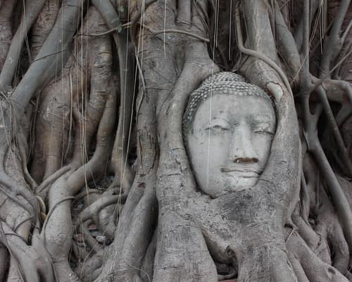 Kurztour "Rund um Bangkok" & Baden in Khao Lak