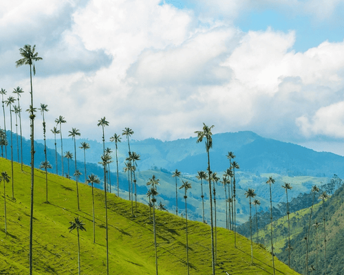 Lo mejor del Eje Cafetero desde Pereira
