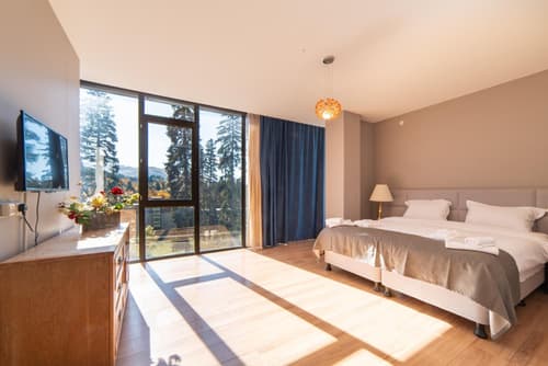 Grand Noel Bakuriani, 