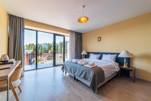 Grand Noel Bakuriani, 