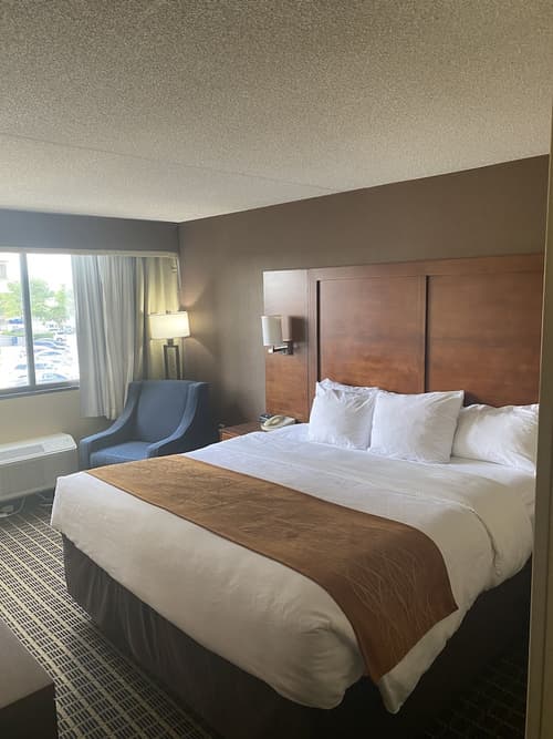 Comfort Inn Springfield, Room