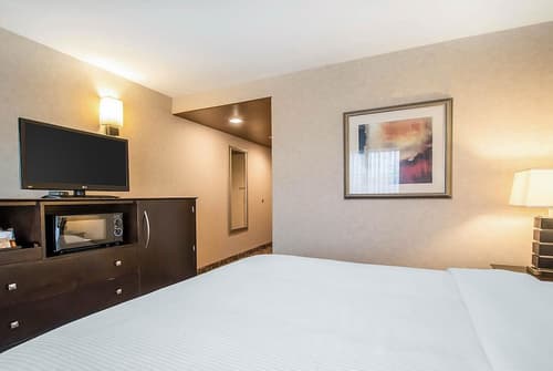 Clarion Inn Elmhurst - Oak Brook near I-88, I-290, I-294, Room