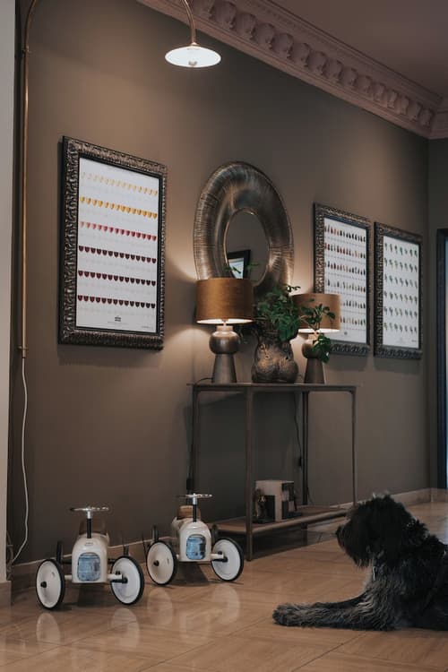 Henry II Hotel, Reception