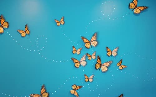 Marin Suites Hotel, Lobby lounge