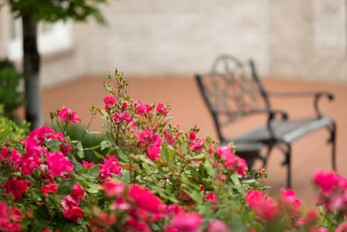 Hilton St. Louis Frontenac, Garden