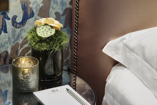 Hotel American Dinesen, Room