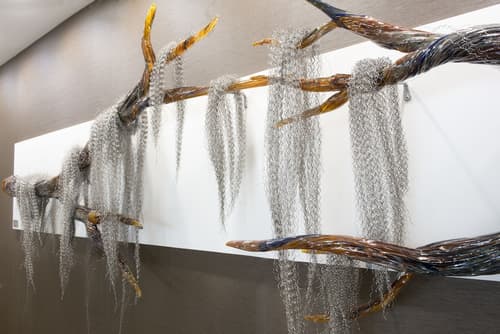 DoubleTree by Hilton Hotel Lafayette, Reception