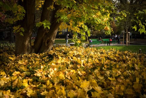 Hotel Central Luzern, Children's play area - outdoor