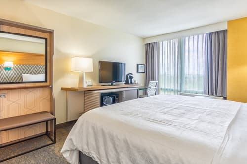 Holiday Inn Miami - International Airport by IHG, Room