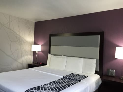 La Quinta Inn by Wyndham Fort Collins, Room