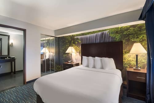 Clarion Pointe Downtown, Room