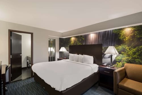 Clarion Pointe Downtown, Room