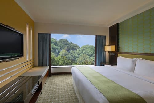 Holiday Inn Singapore Orchard City Centre by IHG, Room