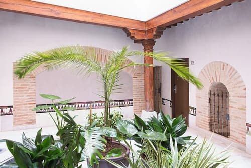 Hotel Pintor El Greco, Terrace/patio