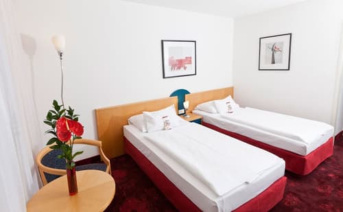 Hotel Boltzmann, Room